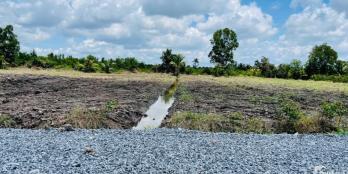 Đất thổ vườn siêu đẹp . DT 24,8 **79,9 . Cách nhựa TL816 1/ chỉ 200m