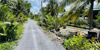 Duy nhất 1 lô đất vườn giá F0 . DT1240m2 . Cách nhự TL816 chỉ 200m