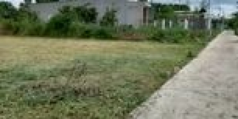 chính chủ cần bán lô đất full thổ cư. ấp 8, xuân tây. Cẩm mỹ, Đồng nai