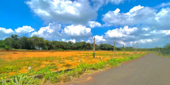 Bán Rẻ Mấy Lô Đất 3.800m2, Giá 480 Tr/Sổ SHR, Thổ Cư, Đất Sát Trường, Chợ, UBND