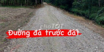 Đất ngộp giá rẻ, BBán đất Củ Chi, 1004m2, sổ hồng riêng, giá rẻ