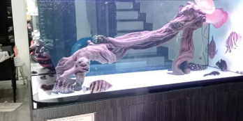 Bán nhà Tô Hiến Thành quận 10 nở hậu 70m 4 tầng 12.5 tỷ, lh: 0933233236.