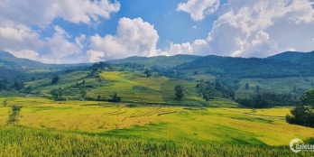 Đất nền Sapa, làm homestay và kinh doanh nghỉ dưỡng, giá cắt lỗ.