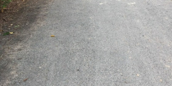 BÁN ĐẤT THỔ CƯ CHO ĐẤT LÚA TẠI PHƯỚC CHỈ TRẢNG BÀNG