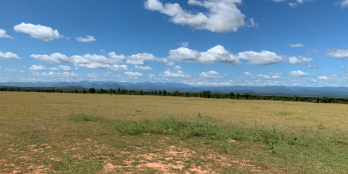 Bán đất nông nghiệp sạch, công chứng sang tên ngay Bắc Bình. Giá từ 85k/m2