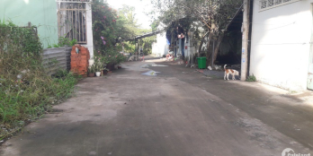 Bán đất thổ cư hẻm xe hơi 590 nguyễn văn tạo nhà bè - DT 5 x 17.2m, SHR