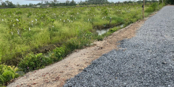 Kẹt tiền cần bán 1000m2 đất vườn đang trông Na Thái