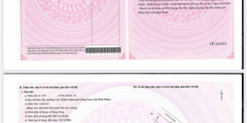 Đất nền vị trí vàng trung tâm TP Đồng Xoài giá chỉ 8 triệu/m2