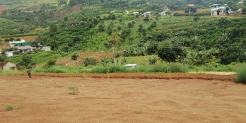 Bán Đất Lâm Hà Lâm Đồng Chính Chủ Tháng 11/2022, Vị Trí Đẹp Thị Trấn Nam Ban