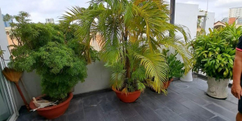 Hxh Vạn Kiếp 3 lầu 5X15 ST Phường 3 Bình Thạnh