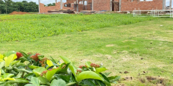 Đất nghỉ dưỡng Bảo Lộc chỉ 3tr/m2 có sổ hồng diện tích 1000m2