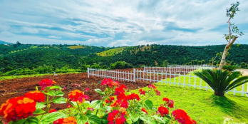 VỊ TRÍ VÀNG MẶT TIỀN ĐƯỜNG DT 725 CÁCH TT BẢO LÂM 5P 500M2 5,8TR/M2