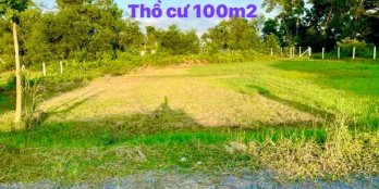 Đất Vườn Củ Chi 1250m2, giá 1,77 tỷ.SHR, thổ cư 100m2