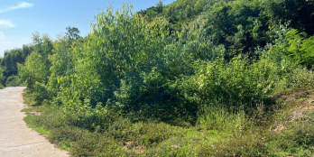 Hàng hiếm tại Thị Xã Sông Cầu cho các nhà đầu tư F0