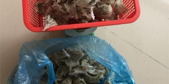 Trung tâm quận 7 khu HIMLAM nhà 4 tầng - thu nhập ổn định 40t/ tháng . giá 5.9ty