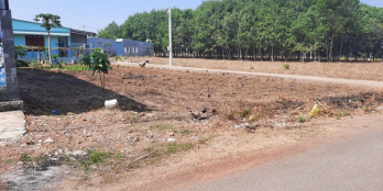 BÁN GẤP 1062M2 TC 200M VỊ TRÍ ĐẸP GẦN CHỢ TRƯỜNG,KCN LỚN,ĐẦU TƯ TIỀM NĂNG 480 TR