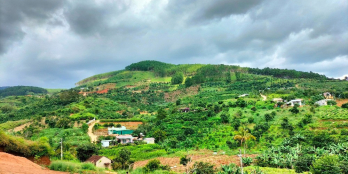 Mua Bán Đất Lâm Đồng Giá Rẻ, sổ hồng chính chủ tháng 11/2022 thế dương view xịn