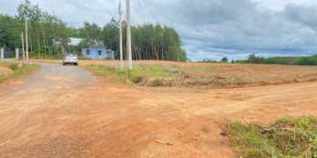 Thổ cư mặt tiền đường nhựa sổ sẵn giá rẻ bèo bình phước