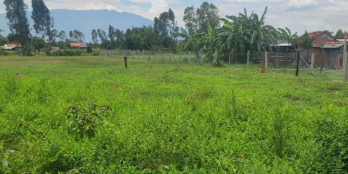 Bán đất Ninh Hòa có thổ đường 4m giá chỉ 450tr