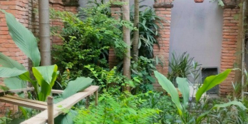 Bán biệt thự Cộng Hòa, Tân Bình, sân vườn rộng, DT 250m2, 3 lầu giá chỉ 25 tỷ