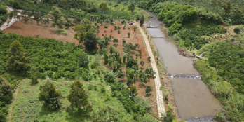 Chủ cần gấp bán 9900m2 đất ven sông Đại Nga, TP Bảo Lộc