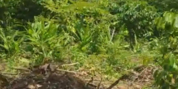 Bán đất earong, tx buôn hồ, giá 45tr/met ngang