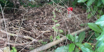 Bán đất mặt tiền tỉnh lộ 2 giá siêu rẻ chỉ 3tr5m