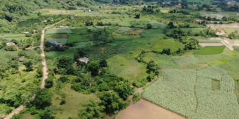 12.887m2 trong đó có. 400m2 ONT, 3400 BHK và 9000m2 đất cây lâu năm xóm Ngay