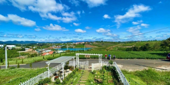 Nhà sàn truyền thống Việt Nam, view đồi chè, hồ Bảo Lộc 384m2 full tc 750tr