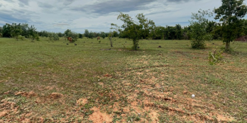 BÁN ĐẤT VƯỜN LÔ 5.200M2 XÃ SÔNG LŨY , BÌNH THUẬN