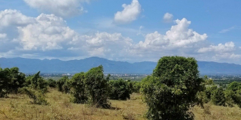 Bán gấp lô đất 525 triệu/3500m2 cách QL1A 2km, sổ sẵn, đường vô tận đất.