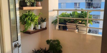 Cho thuê  căn góc chung cư CT6 - Vĩnh Điềm Trung