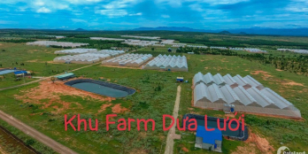 2 mặt tiền liên huyện xã Hòa Thắng, ko qua công ty.