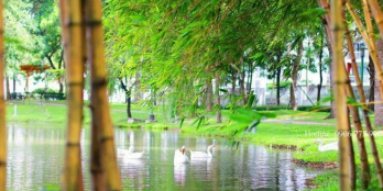 CĂN HỘ RUBY 3PN TRỆT NGAY CỔNG RA VÀO THUẬN TIỆN LH : 0919.147.215