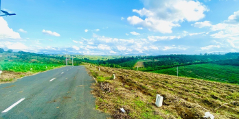 xả lỗ lô đất nghỉ dưỡng tại Bảo lộc sổ riêng