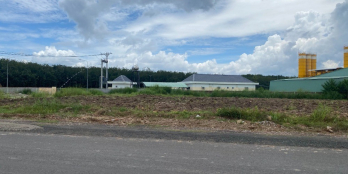 KẸT VỐN LÀM ĂN BÁN GẤP LÔ ĐẤT 1.125M2, NGAY CHỢ, TRƯỜNG HỌC MỞ QUÁN KD.GIÁ 520TR