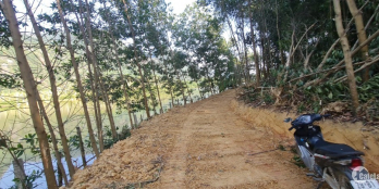 Chủ gửi bán gấp lô đất rừng bám sông giá cực rẻ cực đẹp tại Kim Bôi