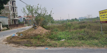 Chính chủ cần bán đất đấu giá Lê Cao- sát dự án Vinhomes 3