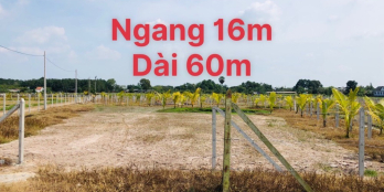 Sót Đất vườn Củ Chi. 16x60. SHR. giá ngộp 1.6 tỷ