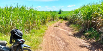 BÁN LÔ ĐẤT NÔNG NGHIỆP 2 MẶT TIỀN ĐƯỜNG HIỆN HỮU.CHỈ 39 TRIÊU/SÀO.