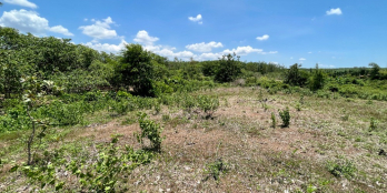 Chính chủ cần bán đất Hoà Hưng, Xuyên Mộc, Bà Rịa