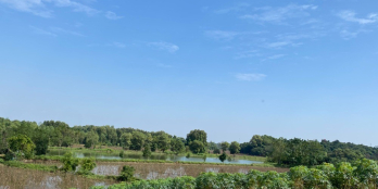 Đất nghỉ dưỡng Ba Vì có hồ, có núi, phong thủy hữu tình, giá 2 triệu/m2