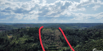 chỉ 52.000/m2, full sổ, khu dân cư,cách tỉnh lộ 686 chỉ 2,5km, gần trường chợ,