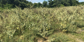 Cần bán lô 9.467m2/ 3.9 tỷ mặt tiền đường nhựa, view hướng biển