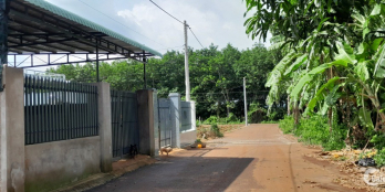 Đất vườn 10x43 ngay chợ Long Phước Bà Rịa Giá rẻ không thể rẻ hơn !