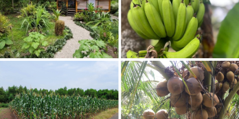 Chính chủ bán đất vườn Bà Rịa, đường ô tô  thích hợp làm nhà vườn và đầu tư