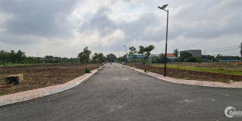 Ngộp cần bán gấp đất ngay đường Hoàng Phan Thái kế bên chợ Bình Chánh