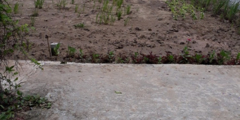 Bán gấp lô đất Nhựt Chánh, Bến Lức giá 900tr