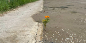 Đất nền vị trí đẹp giá rẻ tại thị xã Gò Công