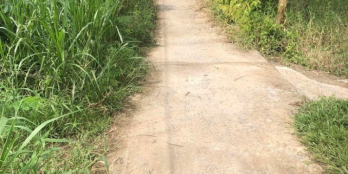 500trieu/ 1000 m2 có thổ cư - mặt tiền đường đan